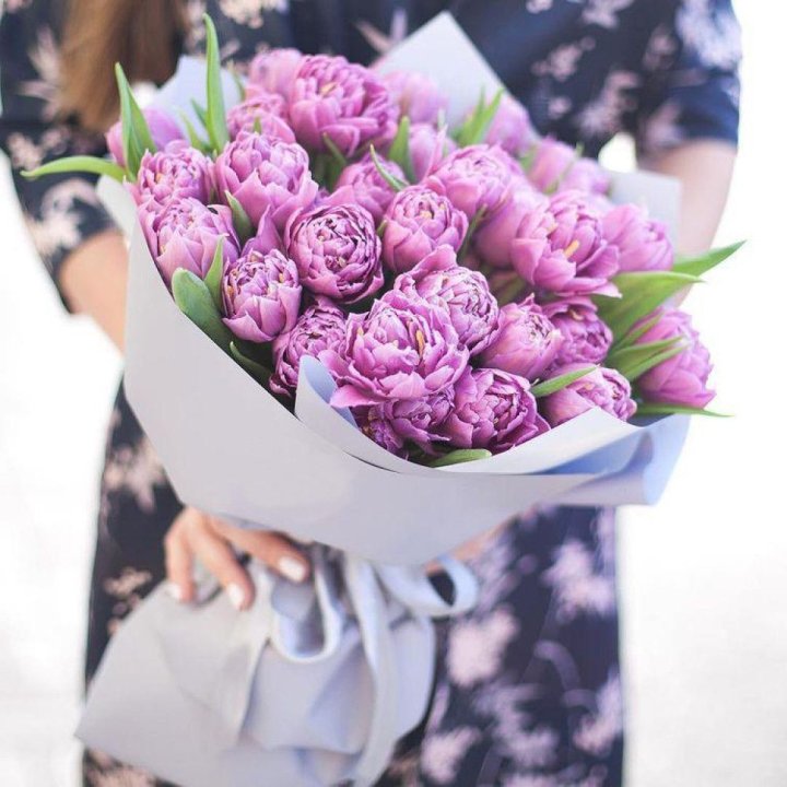 Тюльпаны "Пионс" в Великом Новгороде