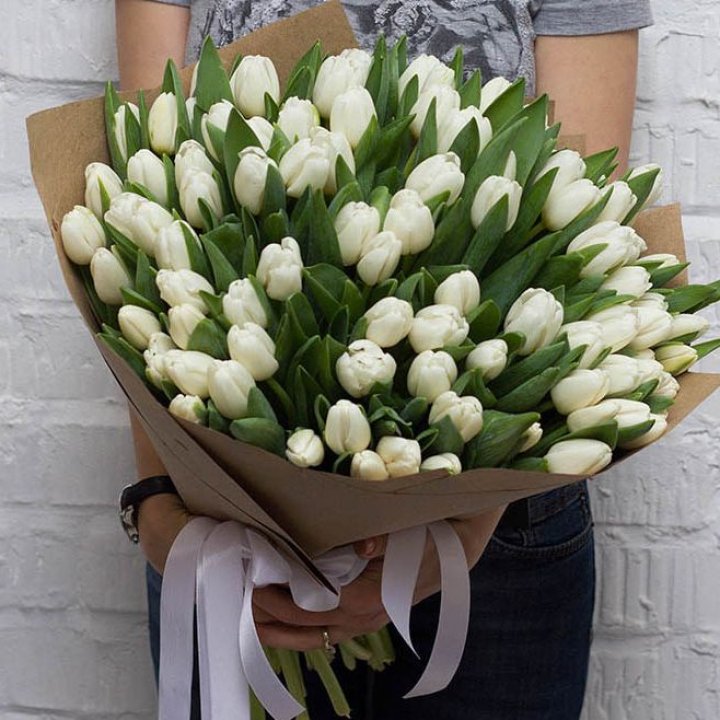 101 тюльпан сноу в Великом Новгороде