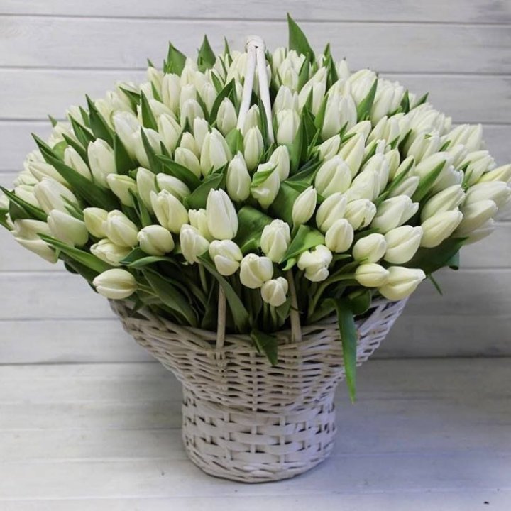 Корзина из 151 тюльпана в Великом Новгороде