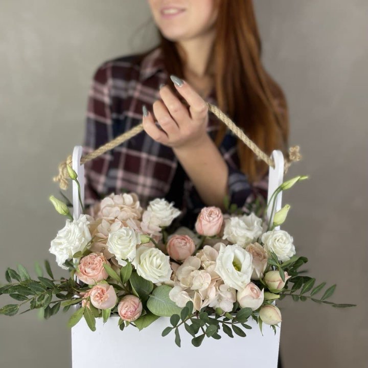 Ящик бокс нежный в Великом Новгороде