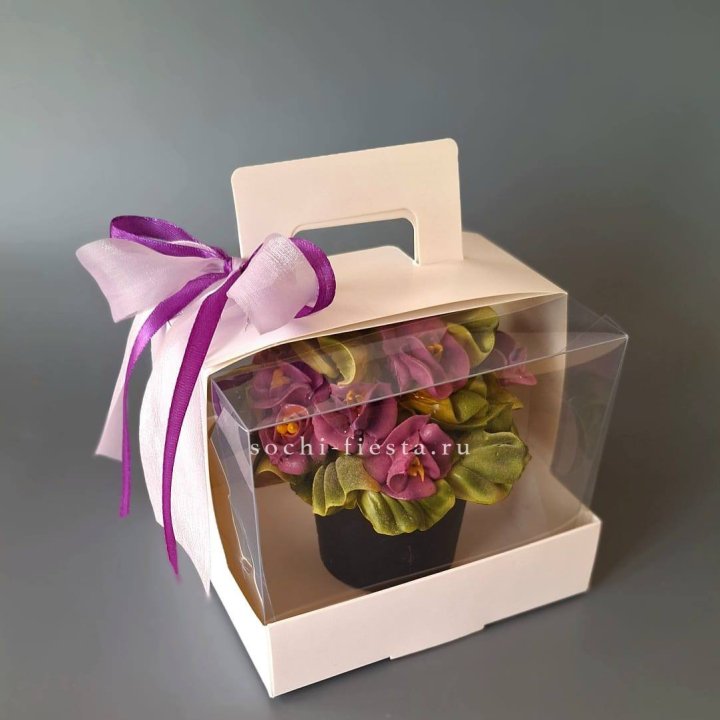  Зефир "Фиалка" в Великом Новгороде